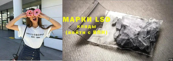 спайс Арсеньев