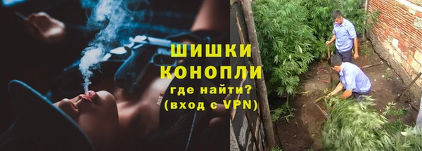 трава Балахна