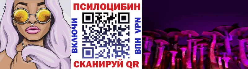 где продают наркотики  Владивосток  Псилоцибиновые грибы Psilocybine cubensis 